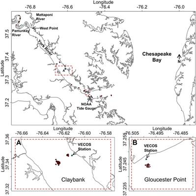 Controls on Sediment Bed Erodibility in a Muddy, Partially-Mixed Tidal Estuary